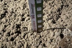 472118262_122111851622690671_6393967415263467985_n